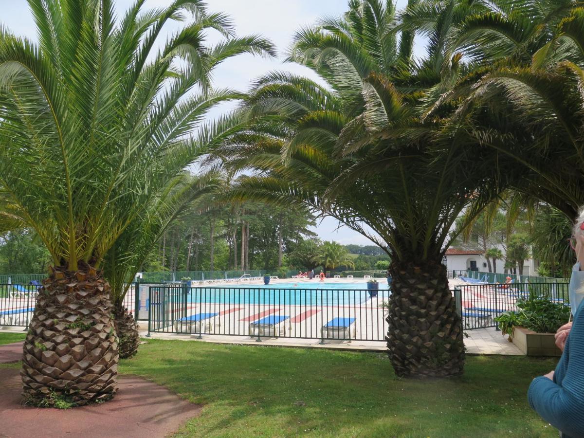 Hasparren-121 T2 Terrasse Et Piscine Urrugne Eksteriør billede